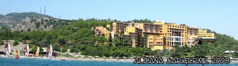 2008-aldianasarigerme