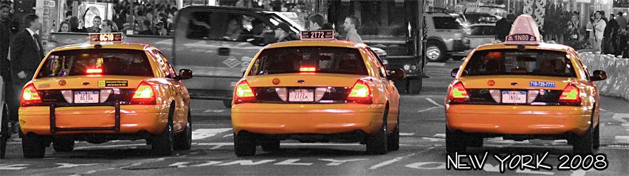 2008-ny2