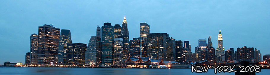 2008-ny4