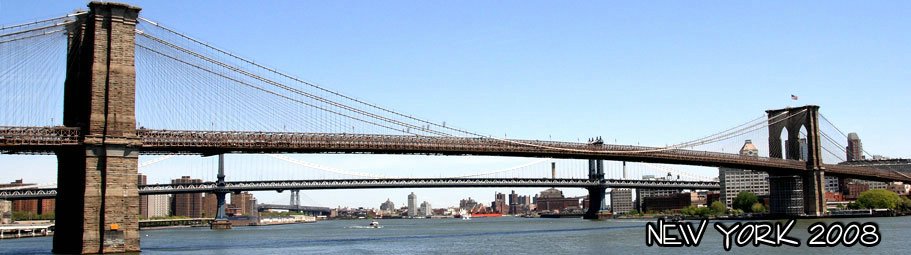 2008-ny7