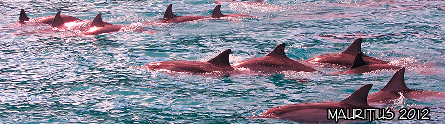 2012-mauritius02