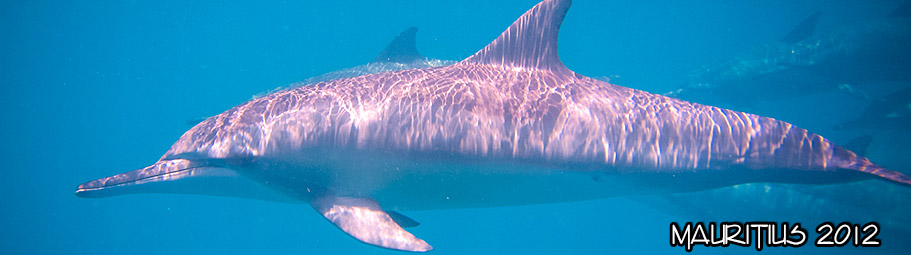 2012-mauritius03