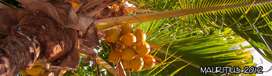 2012-mauritius08