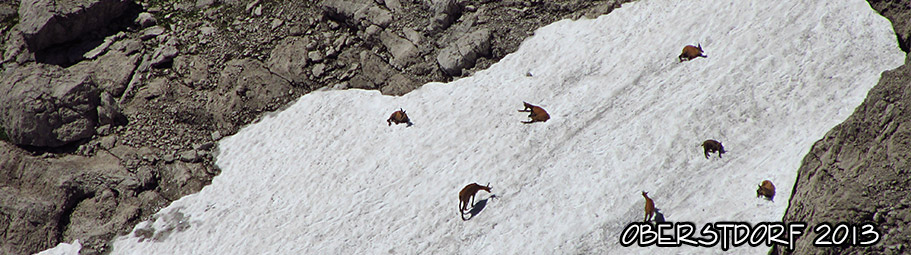 2013-Oberstdorf04