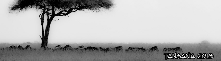 2013-Tansania24