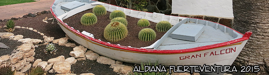2015-Fuerteventura01