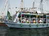 090908-15_marsa_alam_aegypten_mk230.jpg