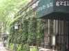 080512_nyc_tag1_mk055