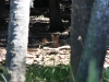 20101008_way_to_cape_coral_mk056
