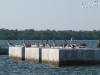 20101010_cape_coral2_mk084