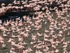 20130924-26_flug_arusha_np_mk136
