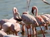 20130924-26_flug_arusha_np_mk162