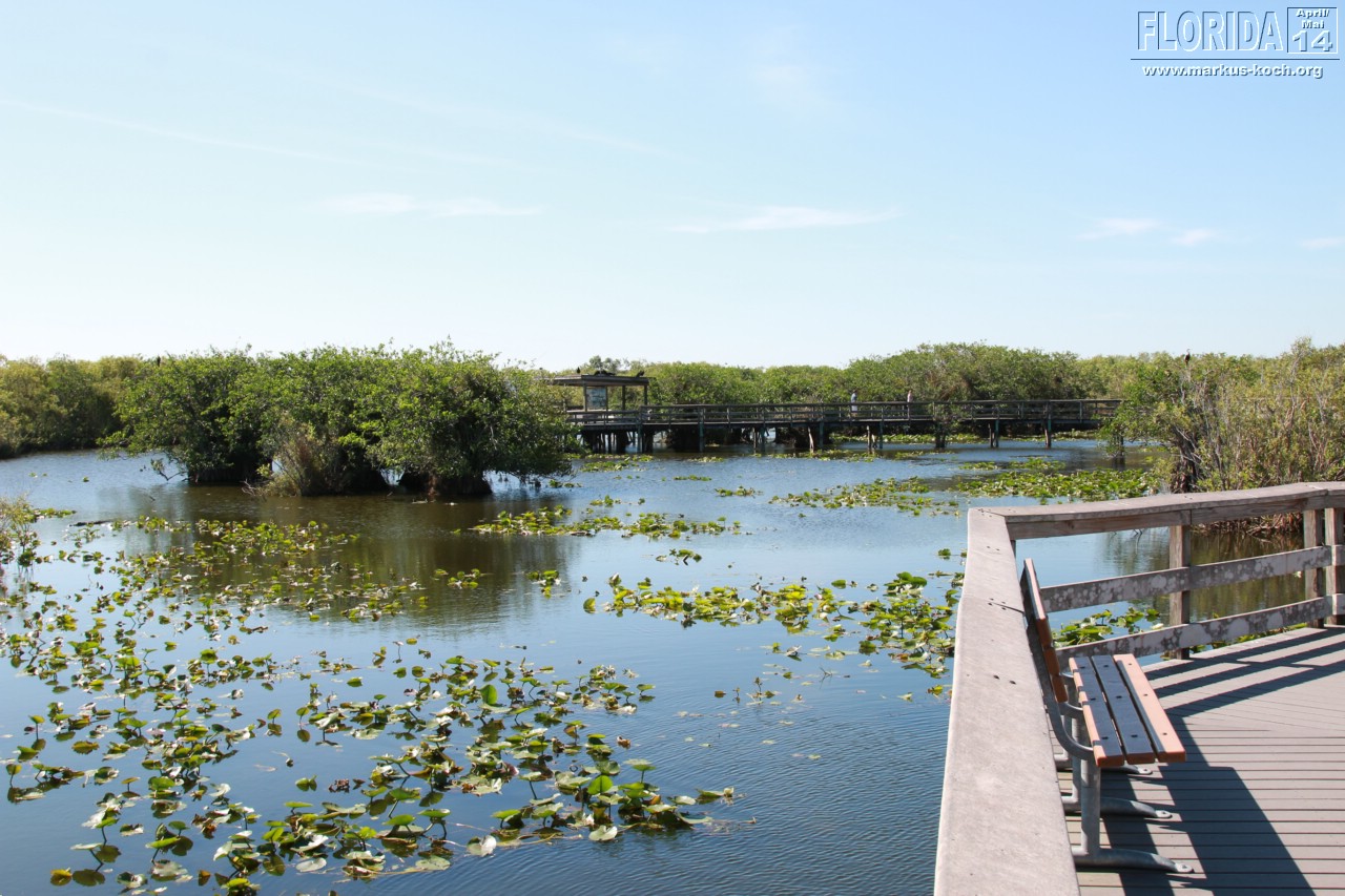 20140421_everglades_mk064