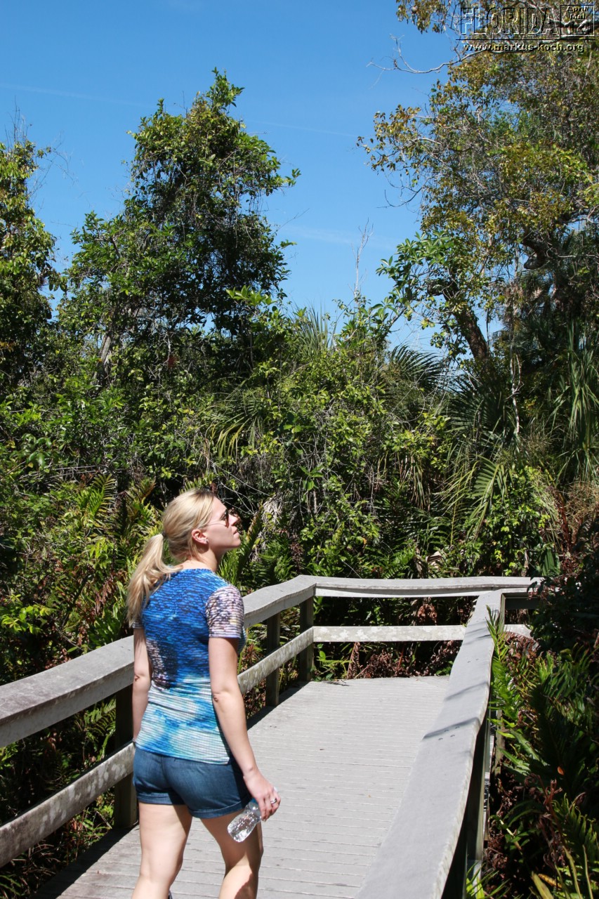 20140421_everglades_mk074