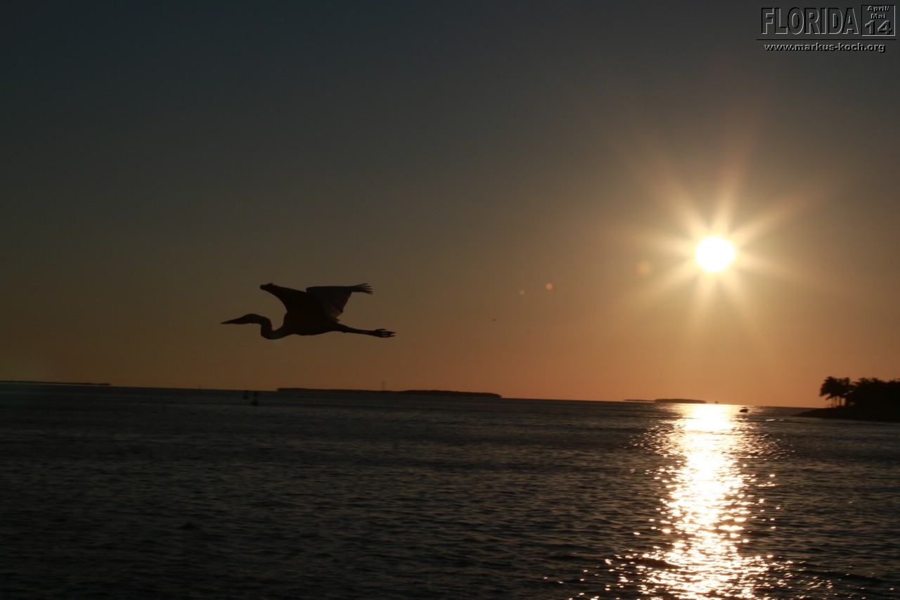 20140423_keywest_mk117