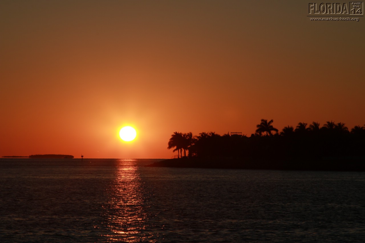 20140423_keywest_mk153