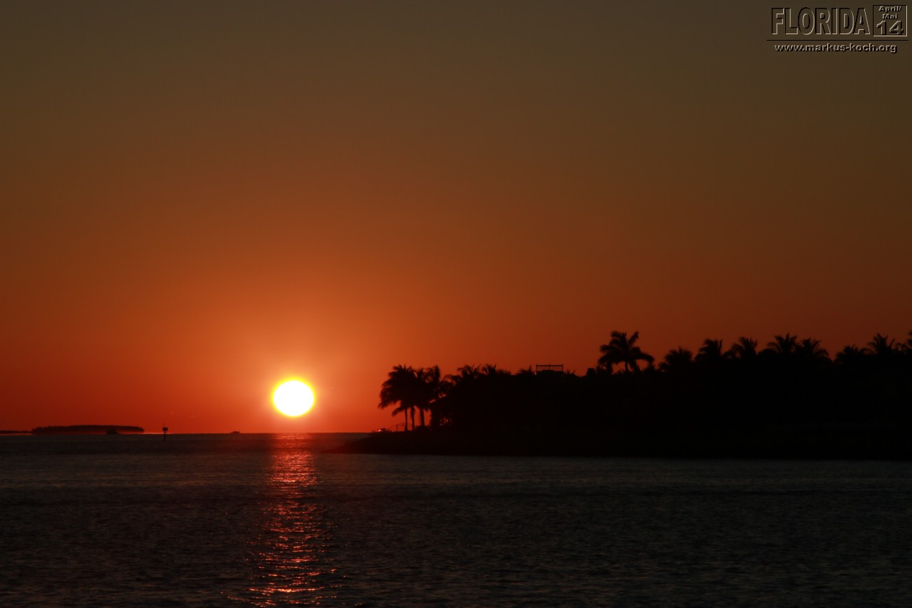 20140423_keywest_mk160