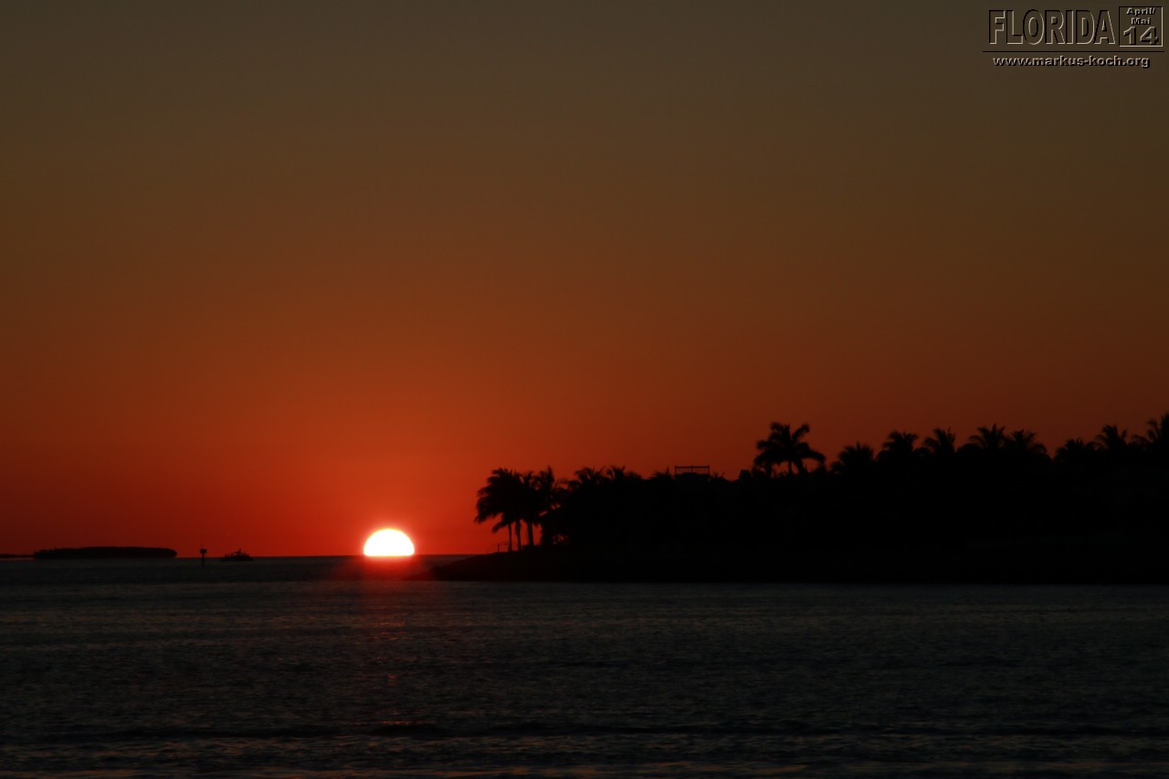 20140423_keywest_mk184