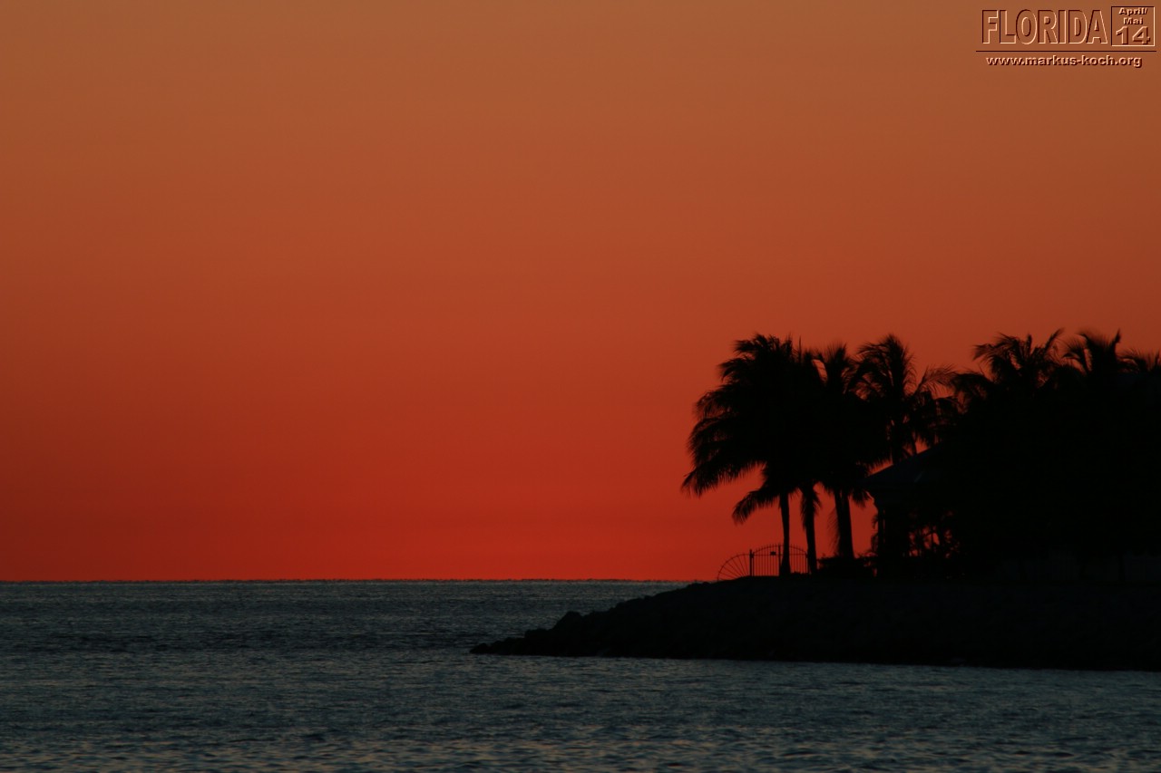 20140423_keywest_mk215