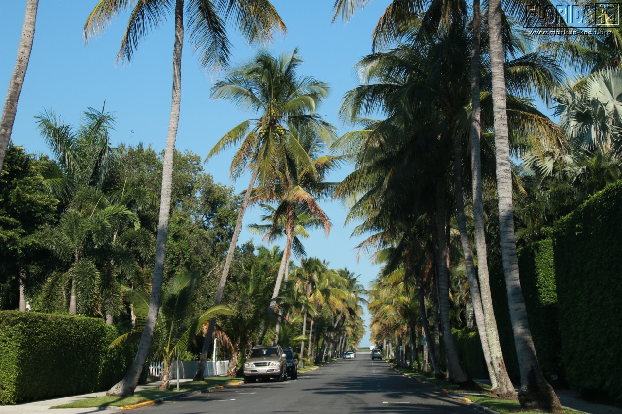 20140424_route_to_palmbeach_mk077