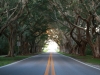 20140424_route_to_palmbeach_mk121