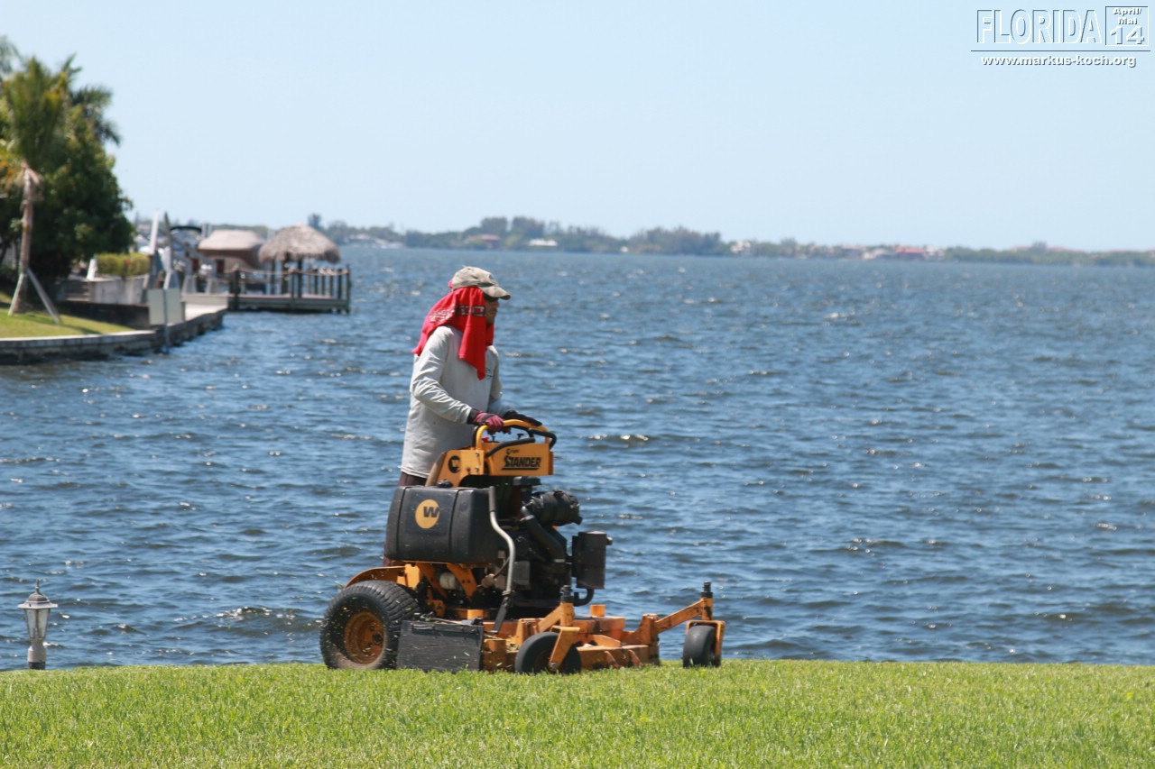 20140429-30_capecoral_mk34