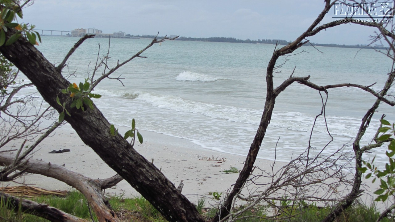 20140501-03_capecoral_mk035