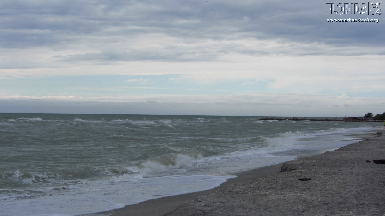 20140501-03_capecoral_mk036