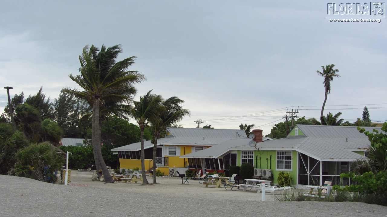 20140501-03_capecoral_mk049