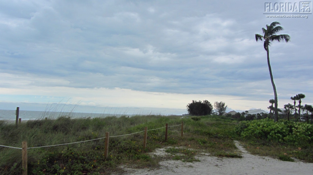 20140501-03_capecoral_mk060