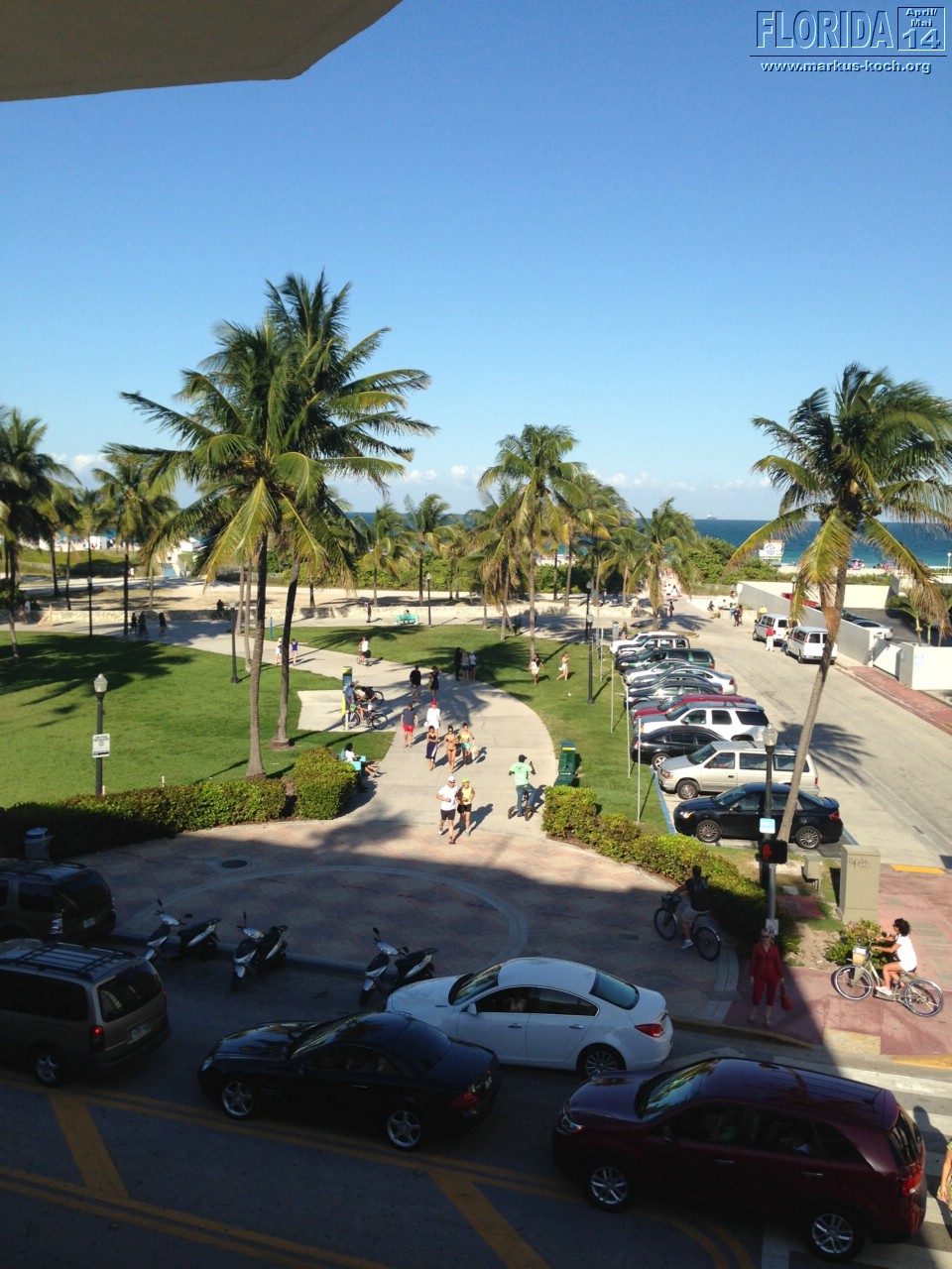 20140504_everglades_miami_mk231
