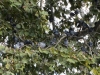 20141019_tag3_so_mk082