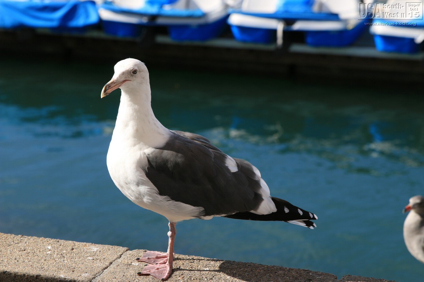 20151015_riverside_la_oceanside_mk13