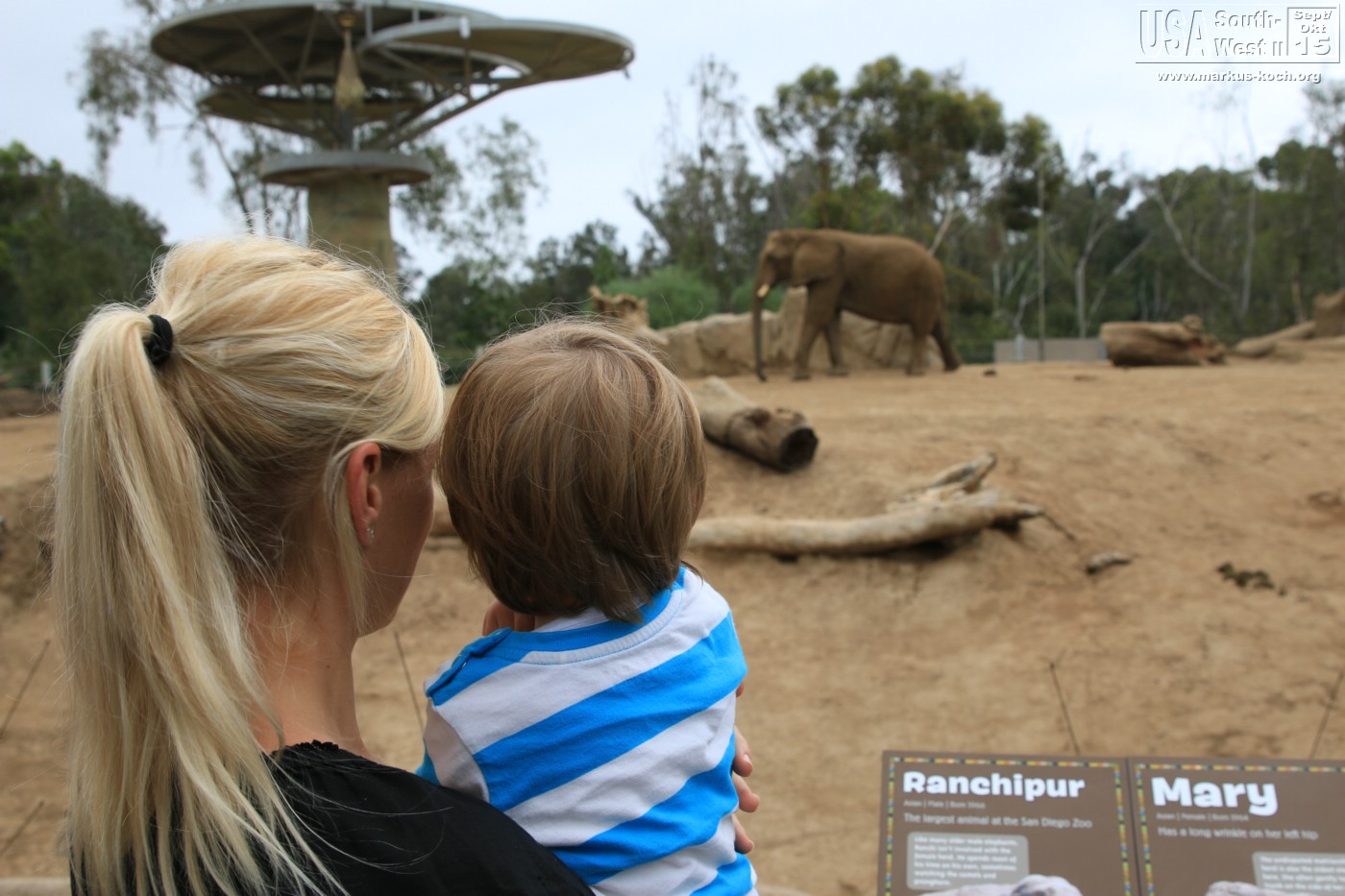 20151016_sandiego_zoo_mk035