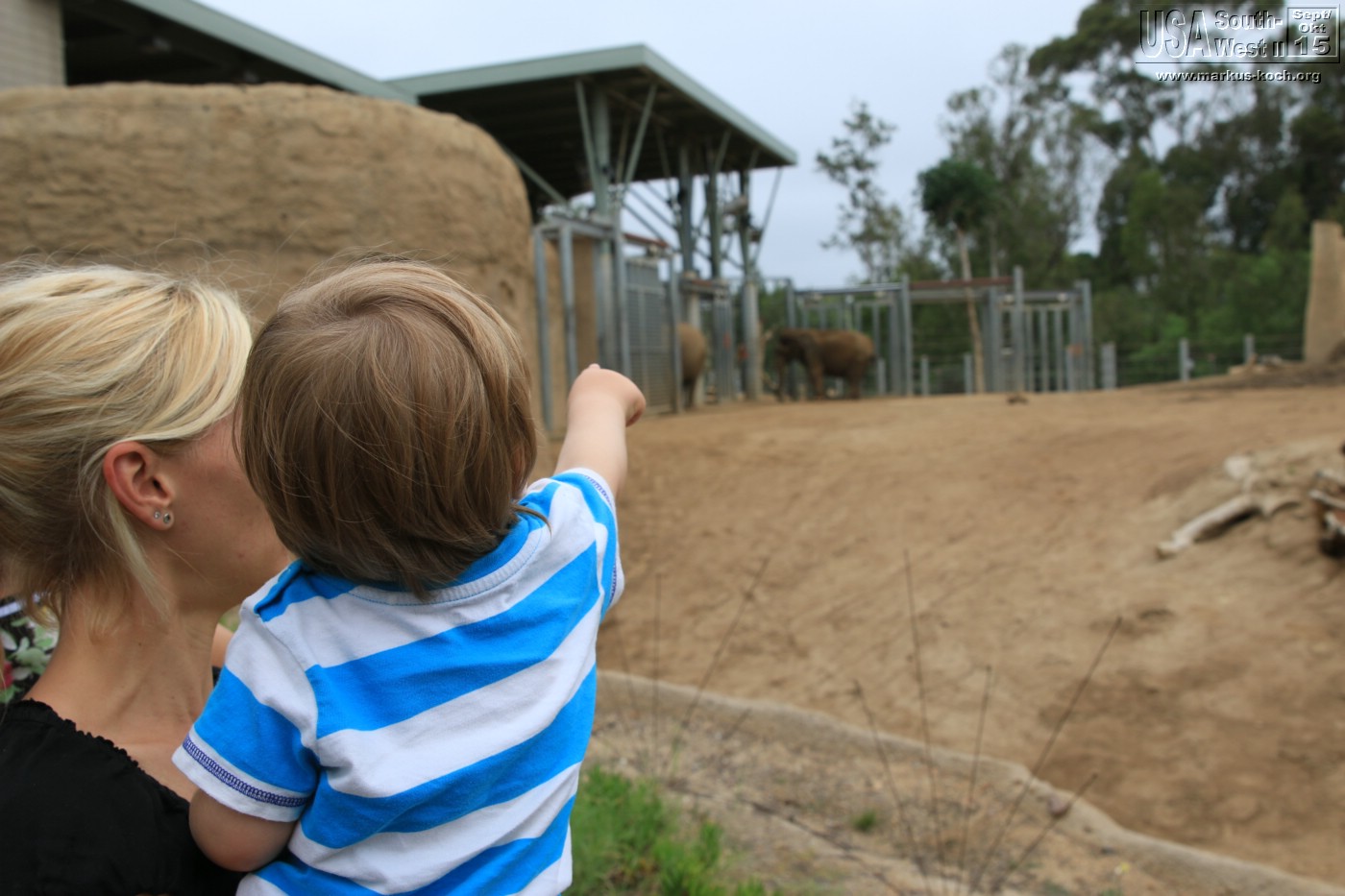 20151016_sandiego_zoo_mk037