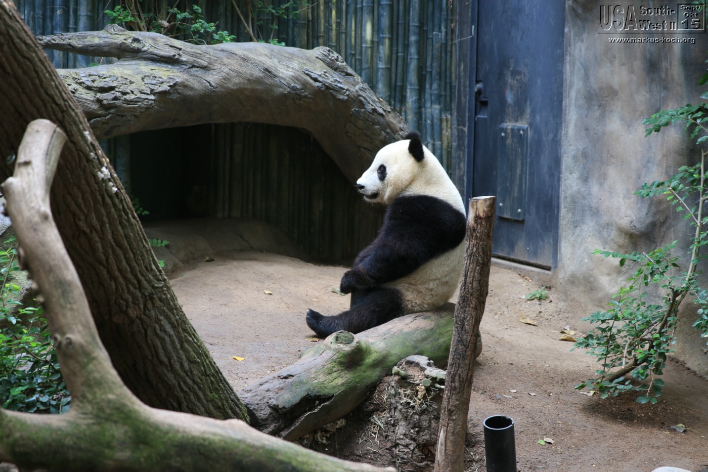 20151016_sandiego_zoo_mk051