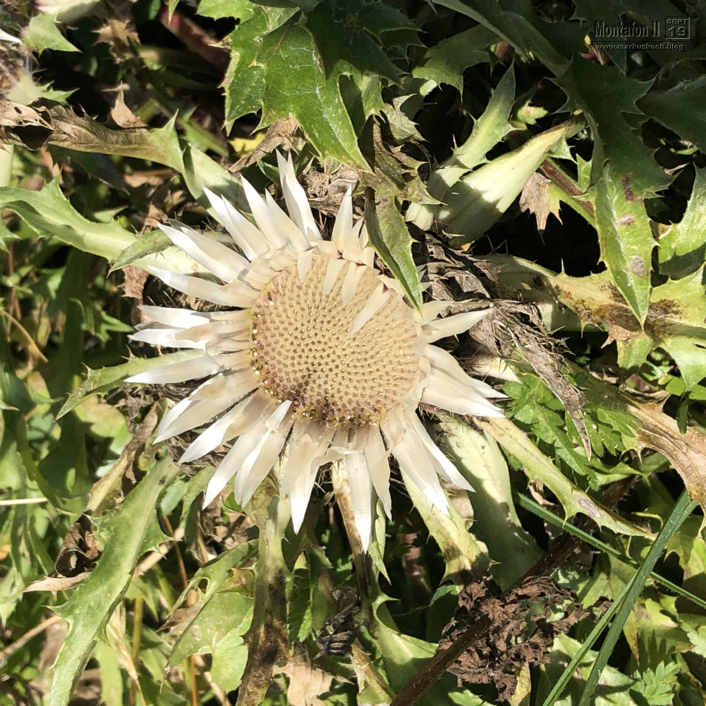 20190913-15_montafon_wandern_mk168