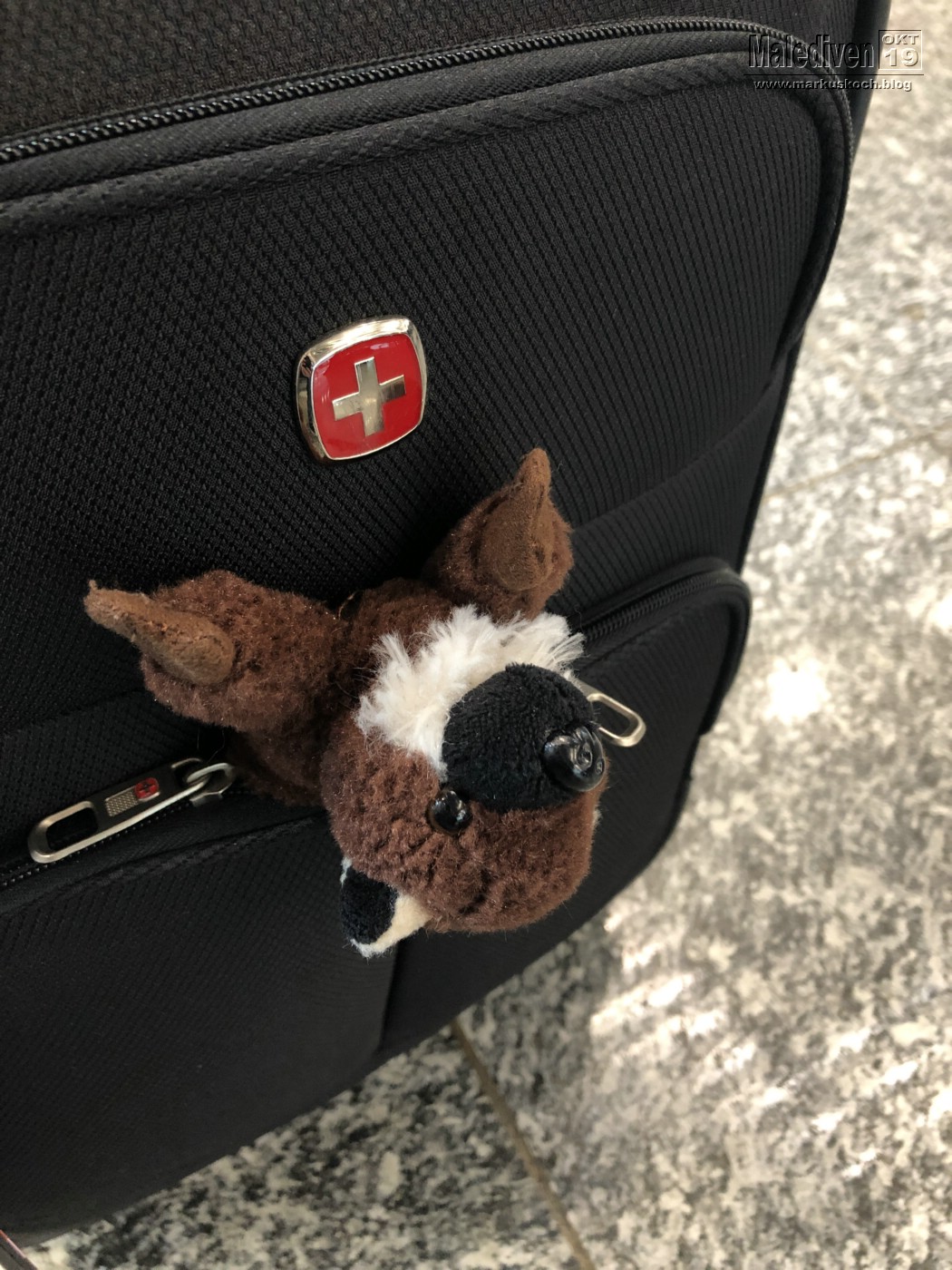 20191012-22_malediven_tauchen_mk004