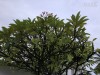 20191012-22_malediven_tauchen_mk487