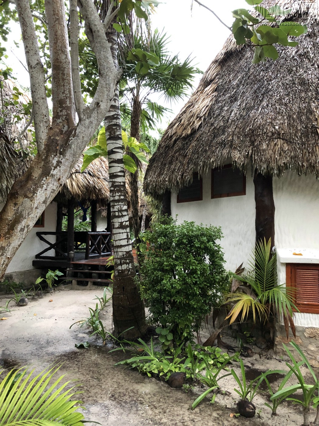 2019113-28_rivieramaya_mexiko_mk0037