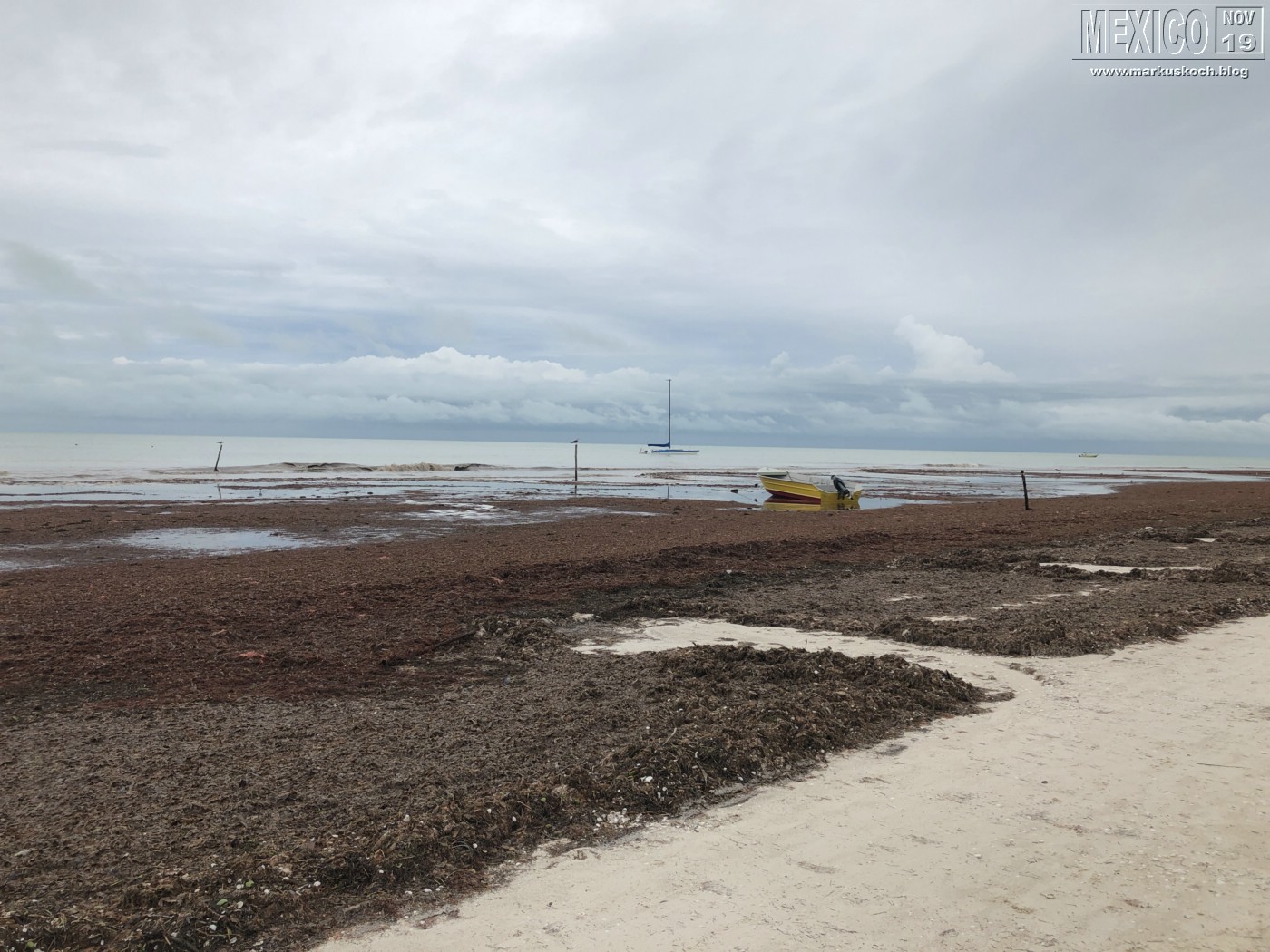2019113-28_rivieramaya_mexiko_mk0059