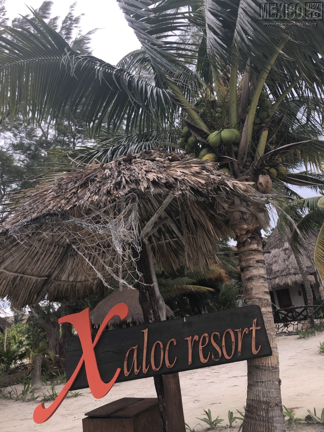 2019113-28_rivieramaya_mexiko_mk0174