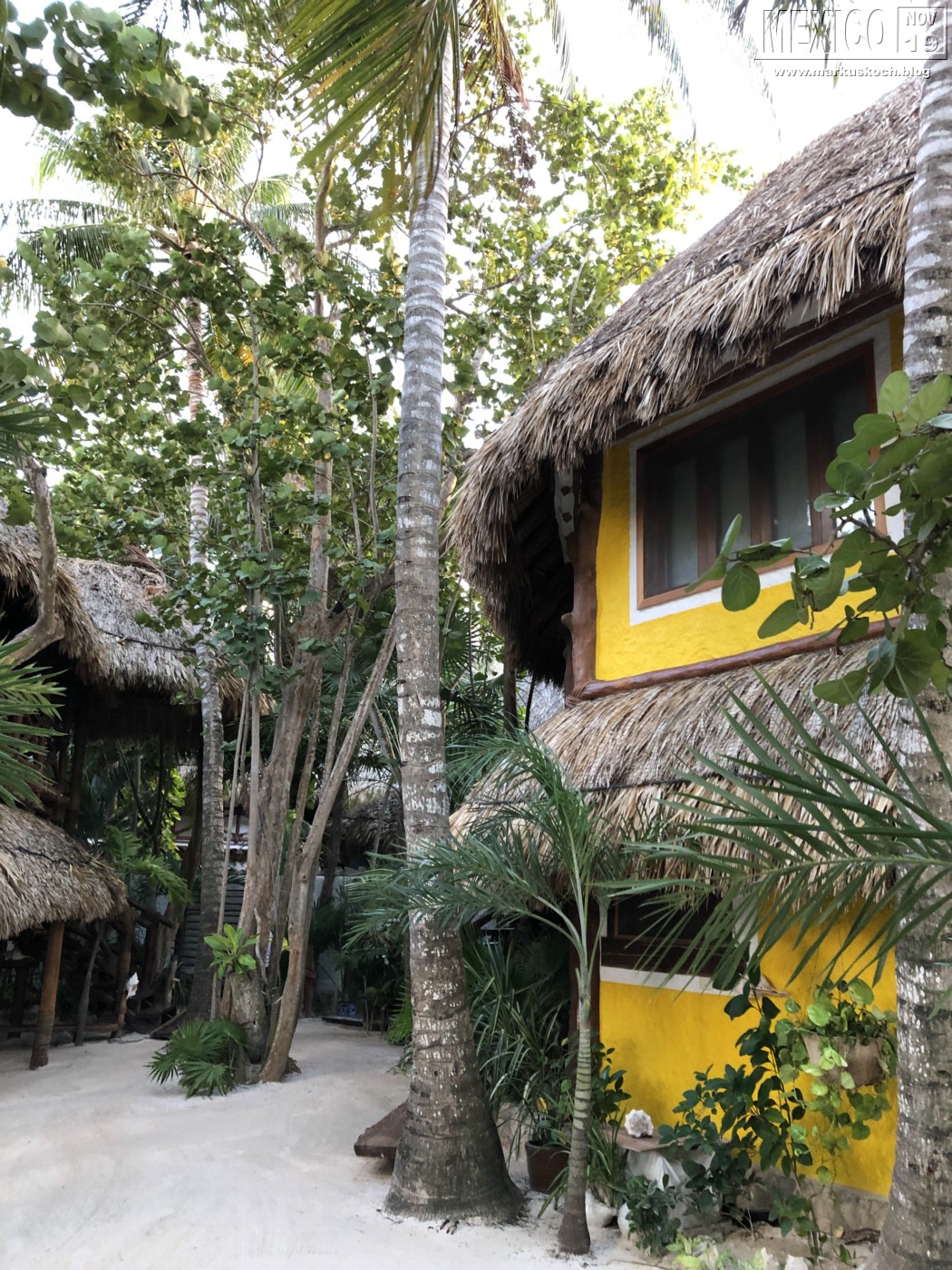 2019113-28_rivieramaya_mexiko_mk0277