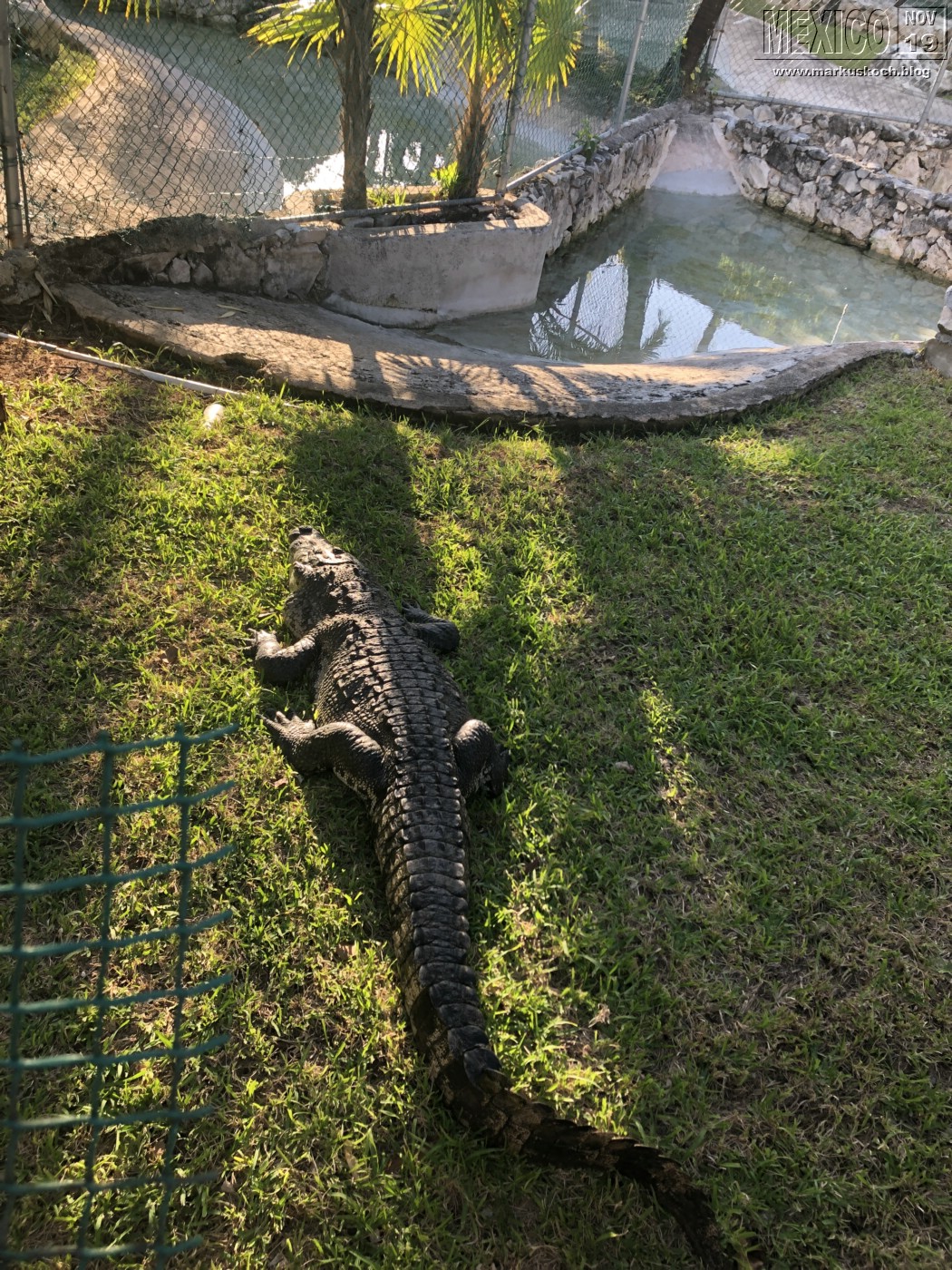 2019113-28_rivieramaya_mexiko_mk0699