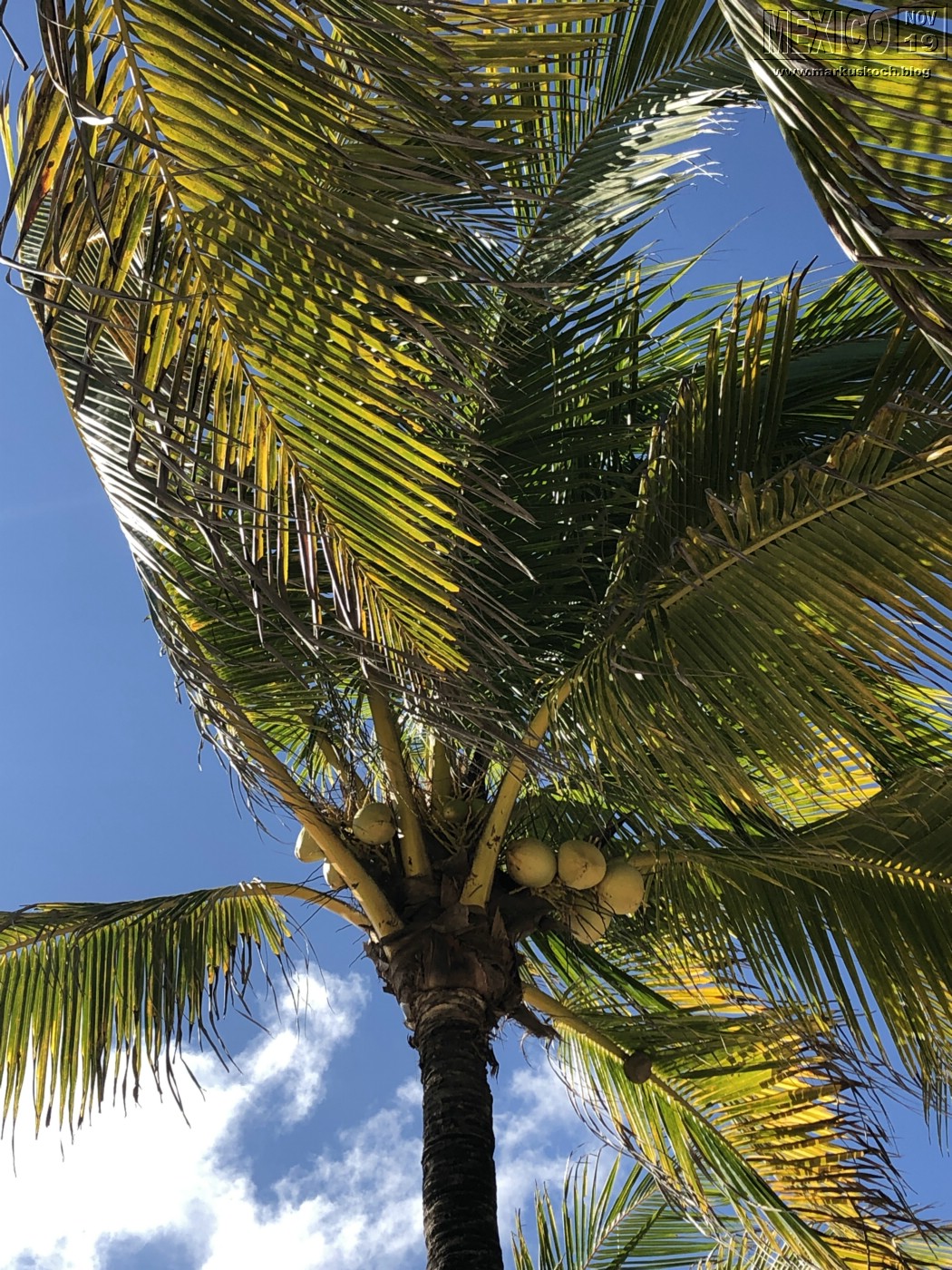 2019113-28_rivieramaya_mexiko_mk0942