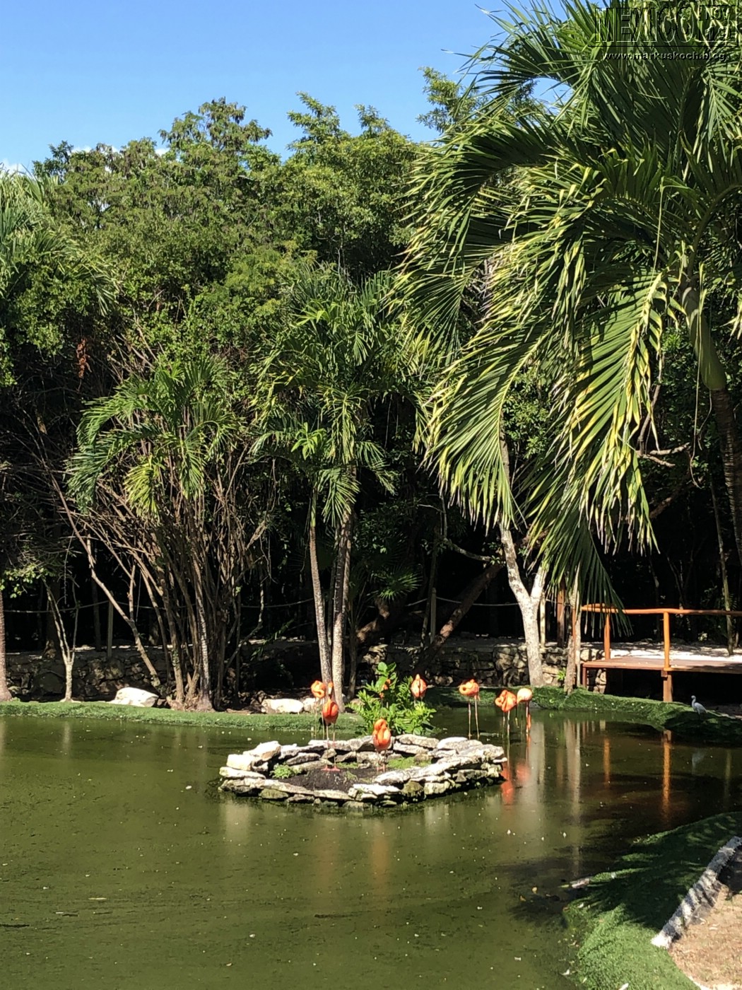 2019113-28_rivieramaya_mexiko_mk1057
