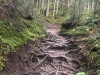 20200917-21_wilderkaiser_mk046