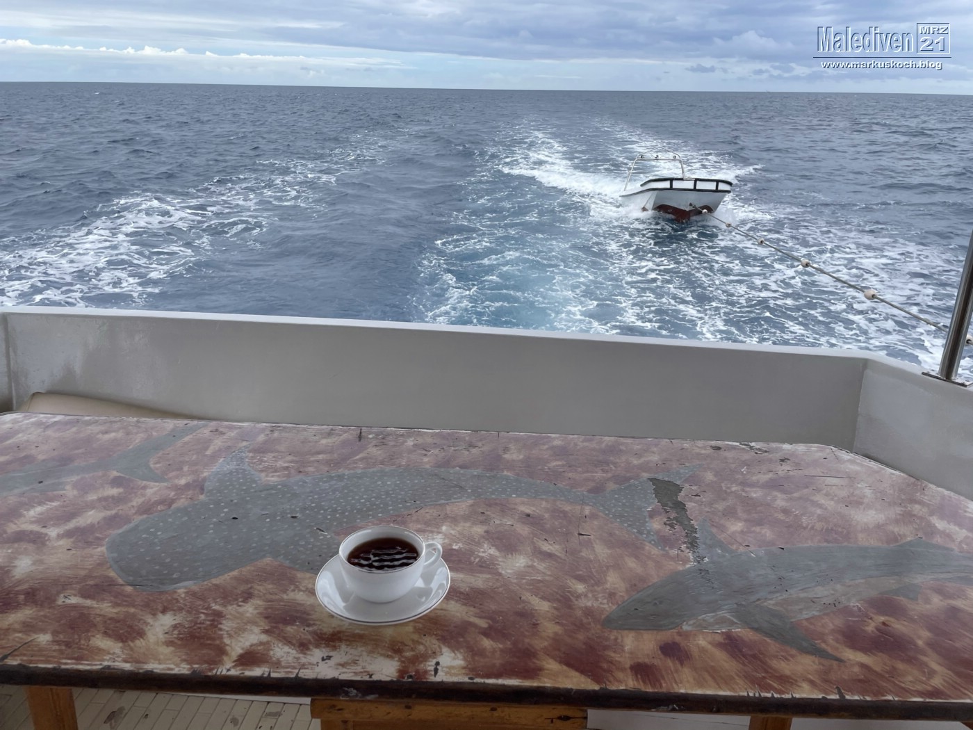20210320-28_malediven_tauchsafari_mk599