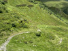20210708-12_adventure_tour_montafon_mk430