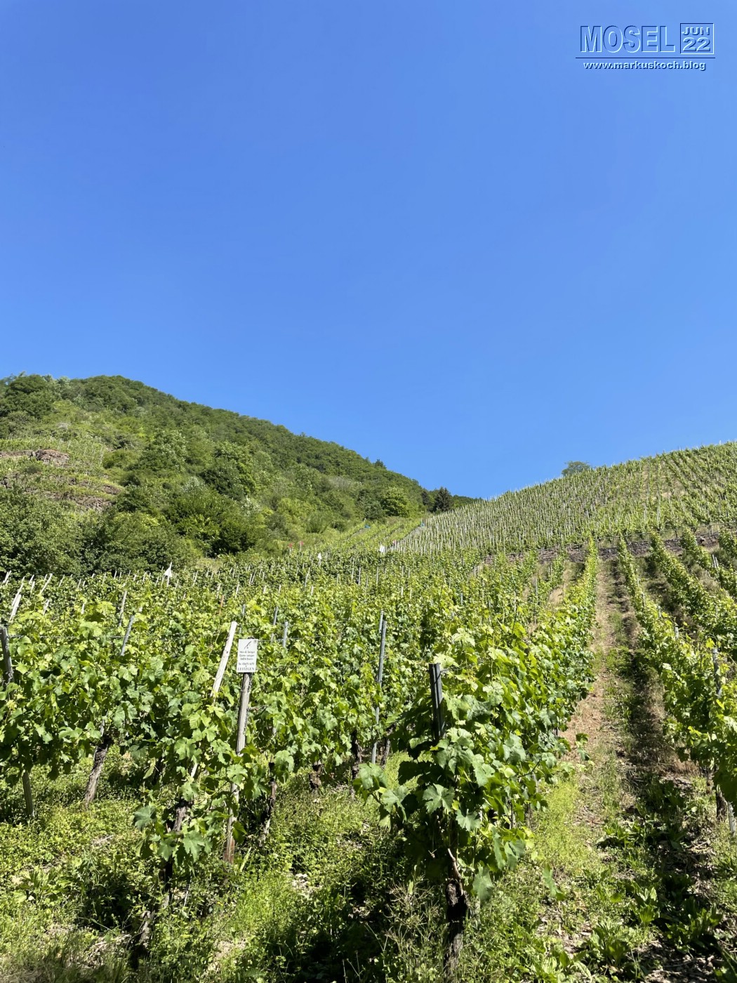 20220615-19_campertour_mosel_mk062